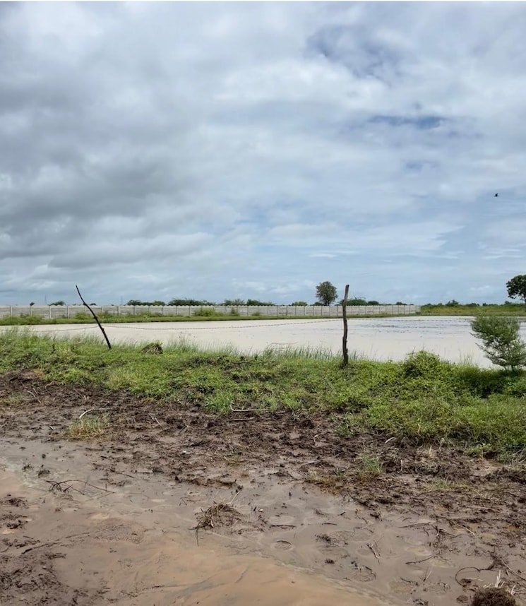 undefined, pipali highway  105 Sq.Yd. Plot In Pipali Highway Ahmedabad 9409534