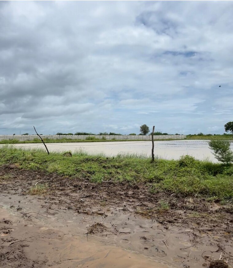 undefined, pipali highway  105 Sq.Yd. Plot In Pipali Highway Ahmedabad 9409534