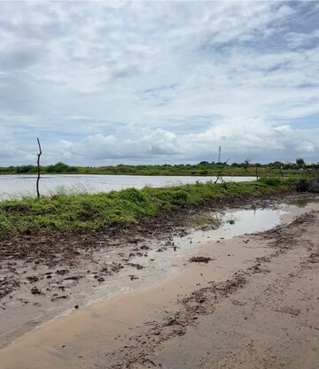 Plot Area in  Plot at Pipali Highway – for Sale