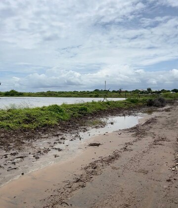 Plot Area in  Plot at Pipali Highway – for Sale