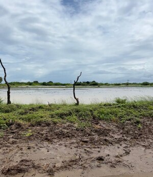 Plot Area in  Plot at Pipali Highway – for Sale