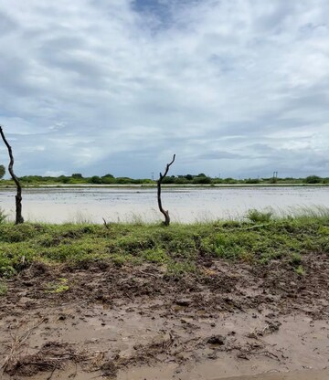 Plot Area in  Plot at Pipali Highway – for Sale