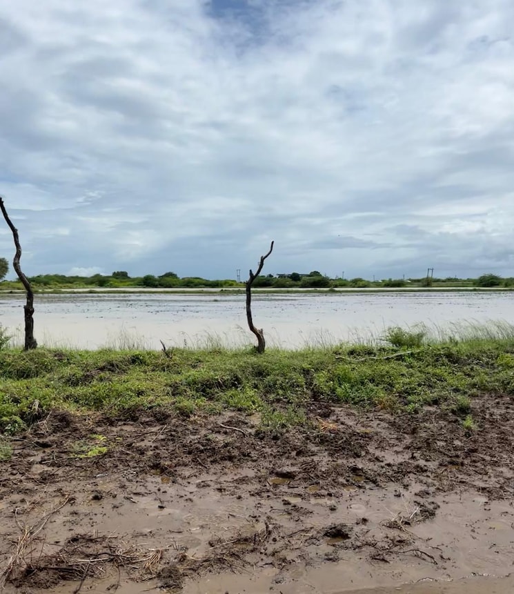 undefined, pipali highway  105 Sq.Yd. Plot In Pipali Highway Ahmedabad 9409534