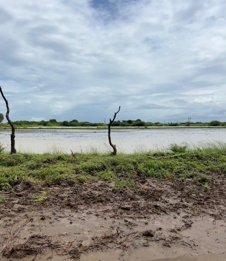 undefined, pipali highway  105 Sq.Yd. Plot In Pipali Highway Ahmedabad 9409534