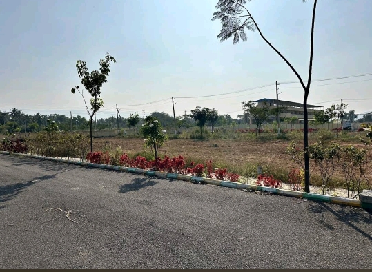Plot For Sale in Plot For Sale In Sindhoor