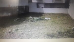  Plot For Sale in Kodigehalli