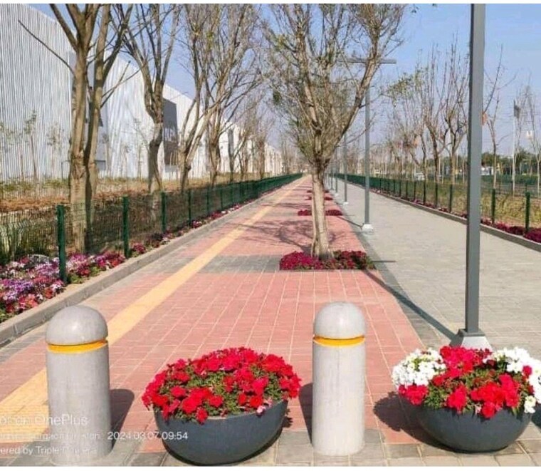 Swimming Pool, dlf-privana-south 4 Bedroom 3577 Sq.Ft. Apartment In Sector 76 Gurgaon 9410834