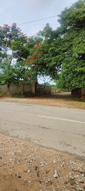 Plot for Sale in Shamirpet, Hyderabad