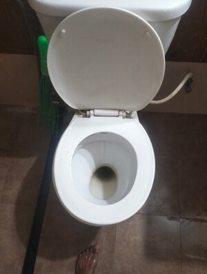 Bathroom in 2 BHK Apartment at Rama Celestial City Phase II, Ravet – for Rent