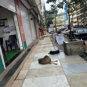 Balcony in  Shop at Shraddha Evoque, Sonapur – for Sale