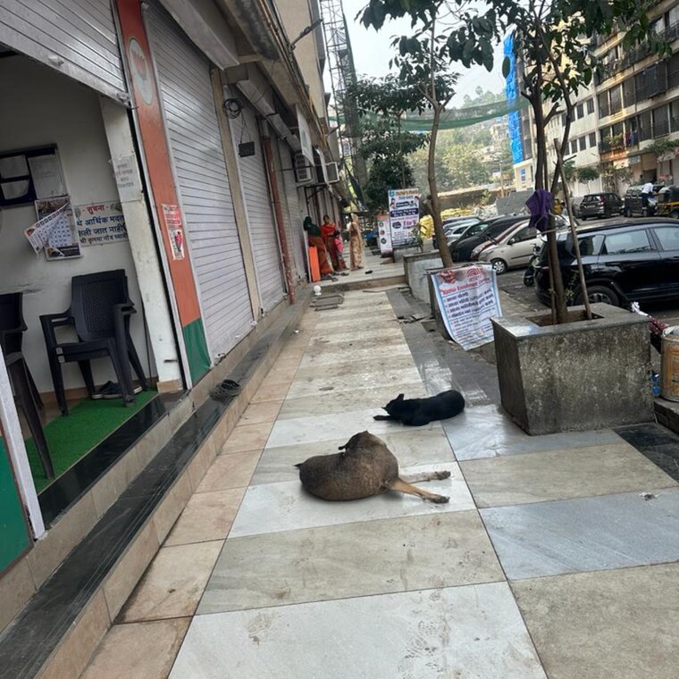 Balcony, shraddha-evoque Commercial Shop 140 Sq.Ft. In Sonapur Mumbai 9411749