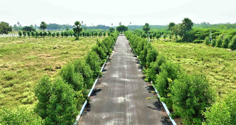 Garden, jsr-suncity-opal  145 Sq.Yd. Plot In Kolanpaka Alair 9411911