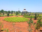 146 Sq.Yd. Plot in JSR Suncity Opal