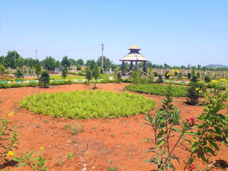 Garden, jsr-suncity-opal  148 Sq.Yd. Plot In Kolanpaka Alair 9411928