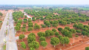  Plot – Exterior View View at JSR Suncity Opal, Kolanpaka - for Sale