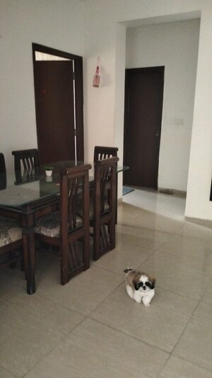 Living Room in 2 BHK Apartment at NK Savitry Enclave, Vip Road – for Rent