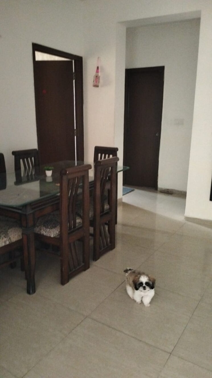 Living Room, nk-savitry-enclave 2 Bedroom 1650 Sq.Ft. Apartment In Vip Road Zirakpur 9412012