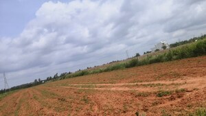 Plot Area in  Plot at Suradhenupura – for Sale