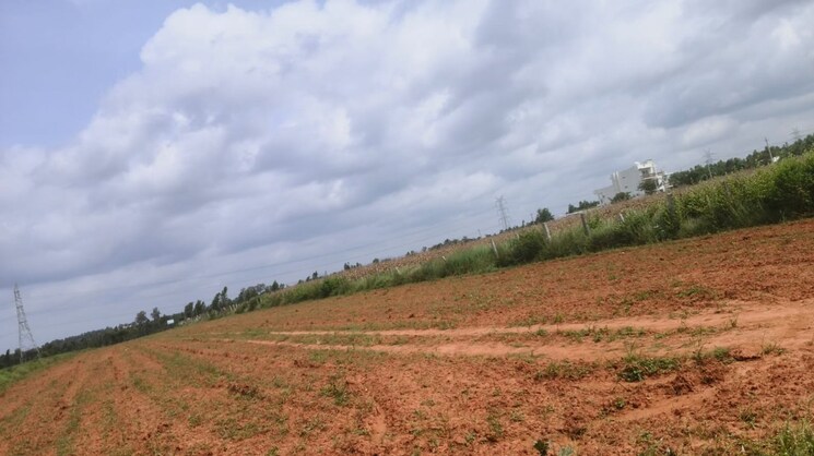 undefined, suradhenupura  1200 Sq.Ft. Plot In Suradhenupura Bangalore 9309438