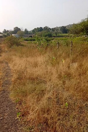  Plot For Sale in Old Panvel