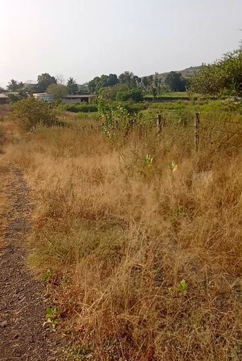 Plot for Sale in Old Panvel, Navi Mumbai