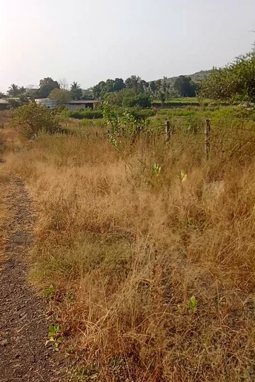  Plot For Sale in Old Panvel