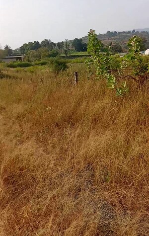 Plot Area in  Plot at Old Panvel – for Sale