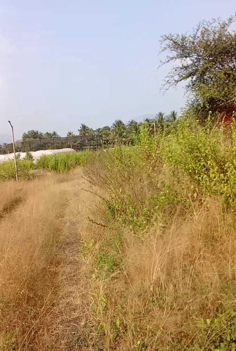 undefined, old panvel  2000 Sq.Mt. Plot In Old Panvel Navi Mumbai 9412359