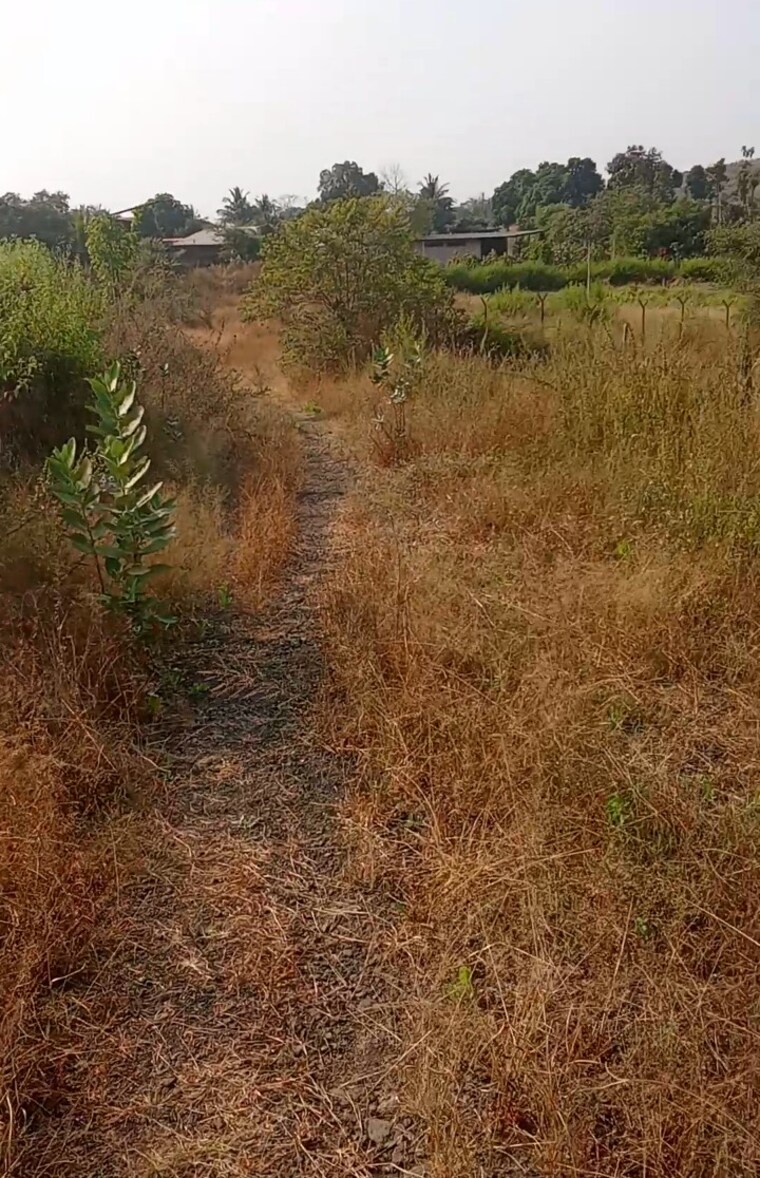 undefined, old panvel  2000 Sq.Mt. Plot In Old Panvel Navi Mumbai 9412359