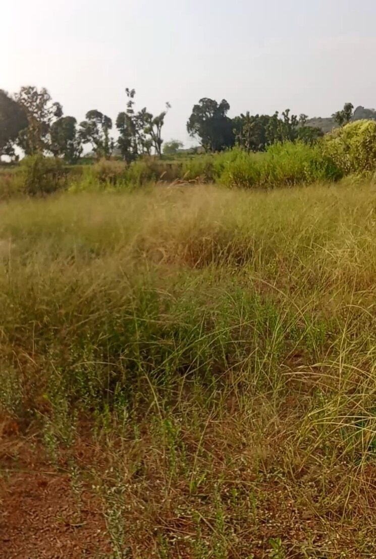 undefined, old panvel  2000 Sq.Mt. Plot In Old Panvel Navi Mumbai 9412359