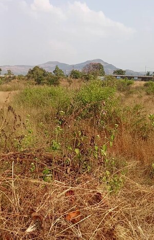 Plot Area in  Plot at Old Panvel – for Sale