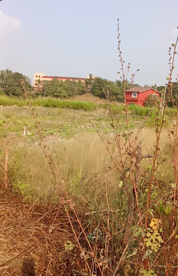 undefined, old panvel  2000 Sq.Mt. Plot In Old Panvel Navi Mumbai 9412359