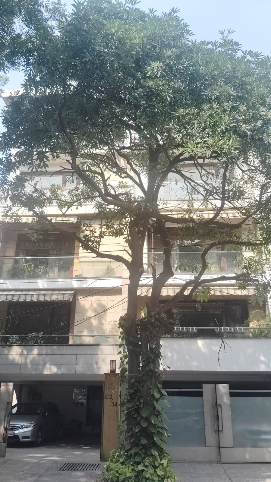 4 BHK + Servant Room Builder Floor For Rent in Vasant Vihar