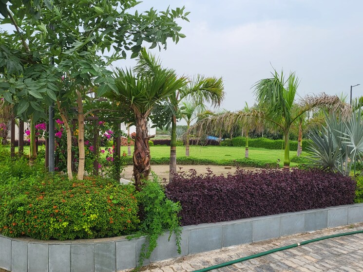 Garden, eureka-diya-green-city 2 Bedroom 971 Sq.Ft. Apartment In Raj Nagar Extension Ghaziabad 9412383