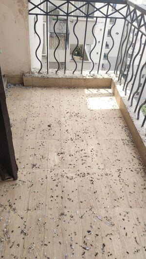 Balcony in 3 BHK Apartment at Swaran Villa Friends Apartments, Sector 52 – for Sale