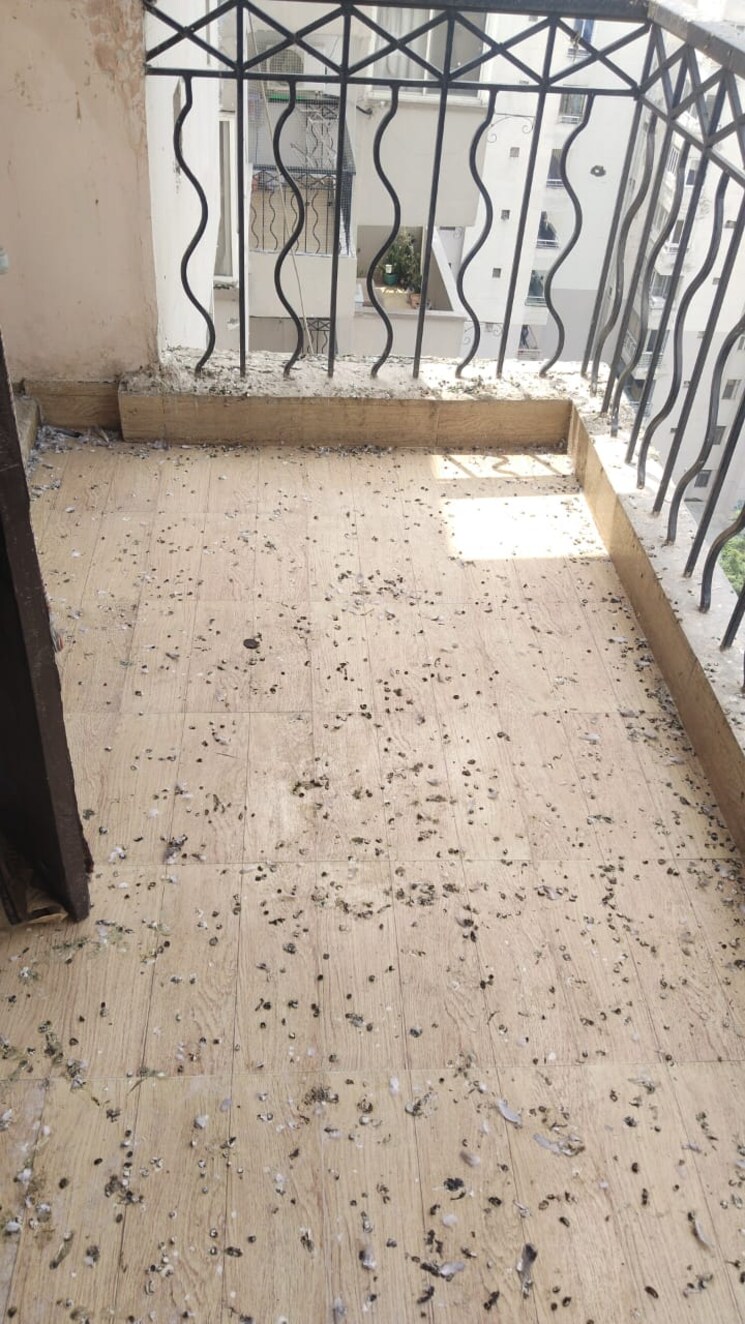 Balcony, swaran-villa-friends-apartments 3 Bedroom 2350 Sq.Ft. Apartment In Sector 52 Gurgaon 9412445