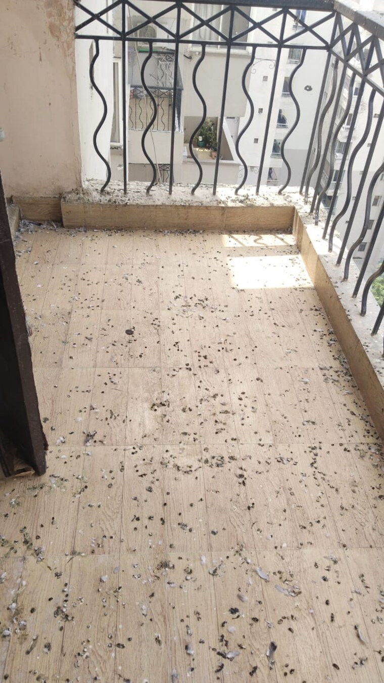 Balcony, swaran-villa-friends-apartments 3 Bedroom 2300 Sq.Ft. Apartment In Sector 52 Gurgaon 9412445