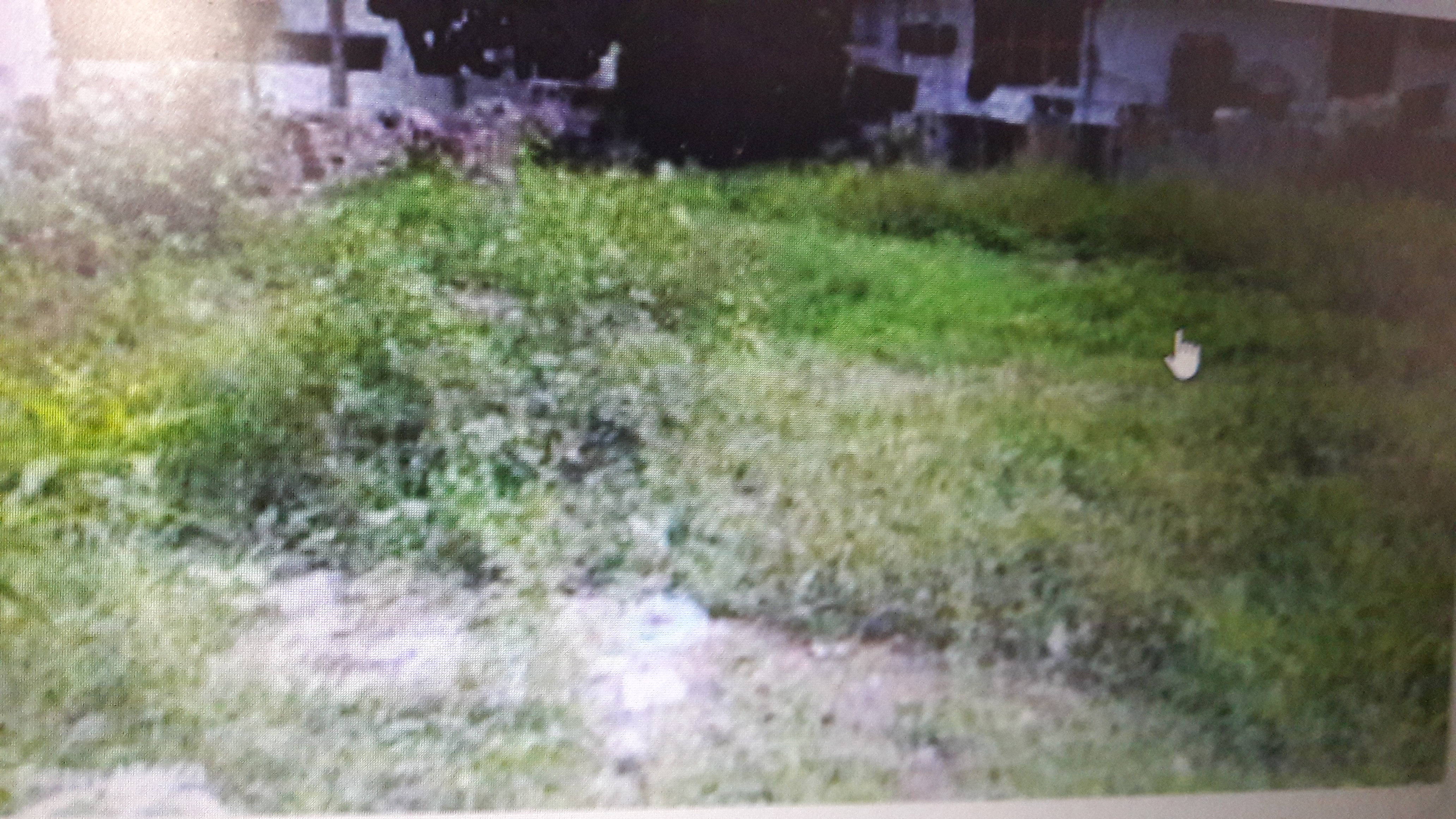 Plot For Sale in Cross Realtors