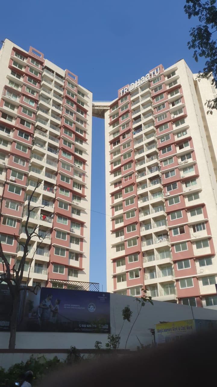 1 BHK + Pooja Room Apartment For Sale in Tridhaatu Morya