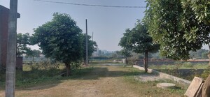 Plot Area in  Plot at Dankaur – for Sale