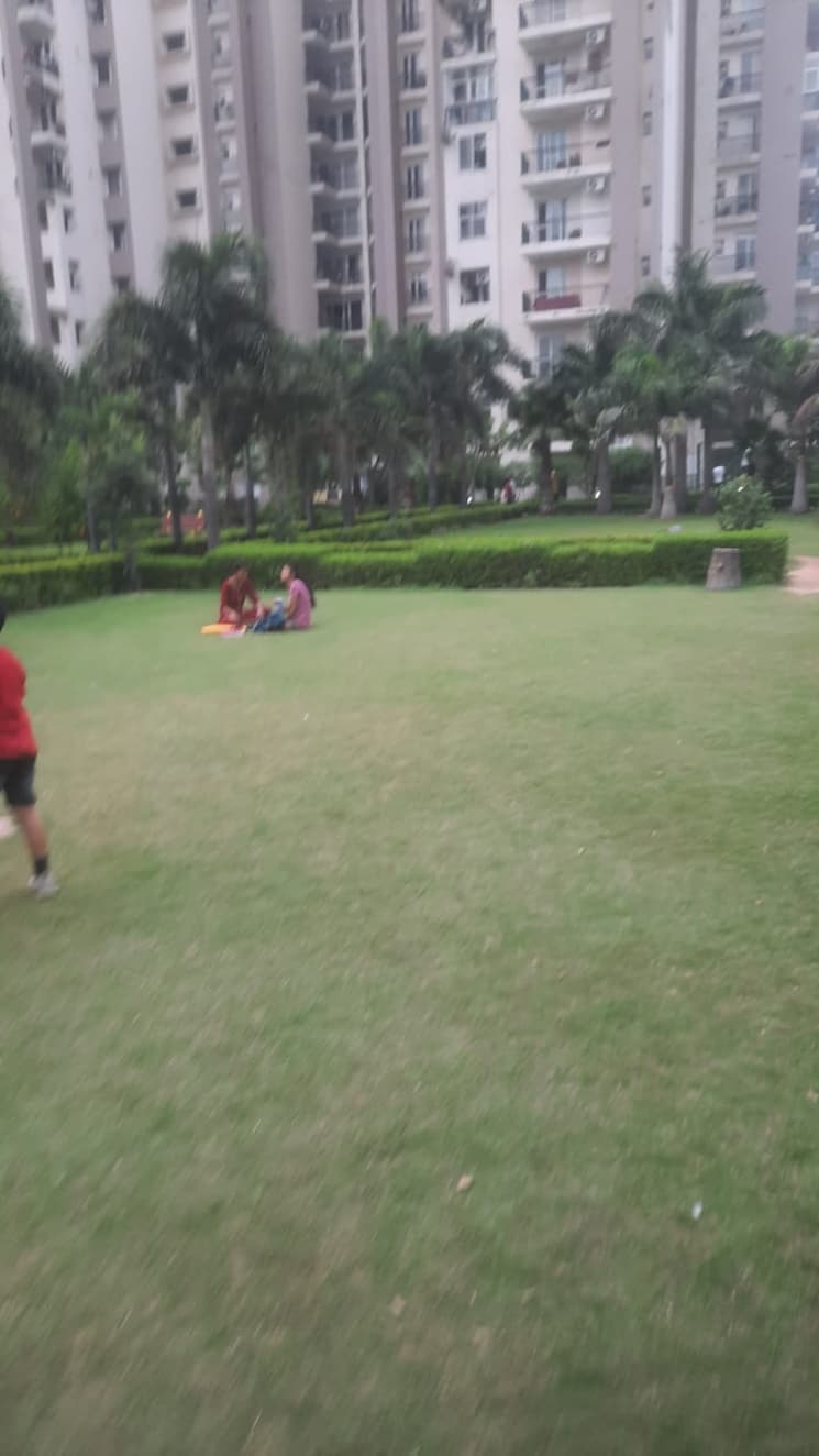 Garden, motia-royal-citi-apartments 3 Bedroom 1460 Sq.Ft. Apartment In Ghazipur Zirakpur 9412689