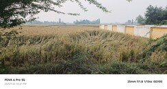 Plot For Sale in Nigoha