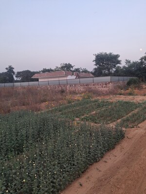  Plot – Exterior View View at Vatika Kunj, Bhondsi - for Sale
