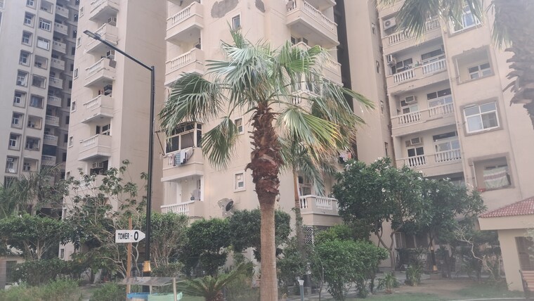 Exterior View, amrapali-princely-estate 2.5 Bedroom 1015 Sq.Ft. Apartment In Sector 76 Noida 9412912