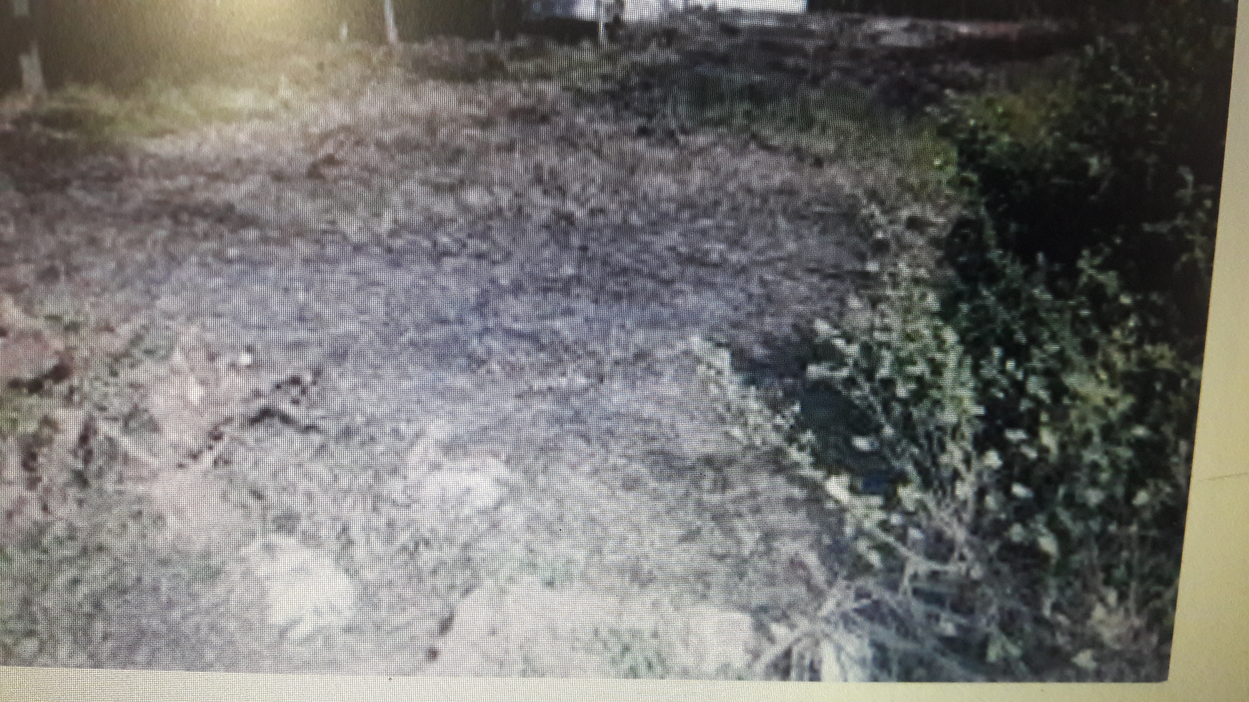 Plot For Sale in International Airport road