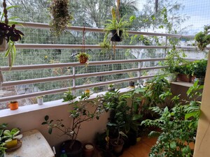 2 BHK Apartment For Rent in Karan Gharonda, Wadgaon Sheri