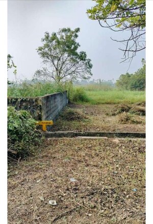 Plot Area in  Plot at Locus 1, Kesarapalli – for Sale