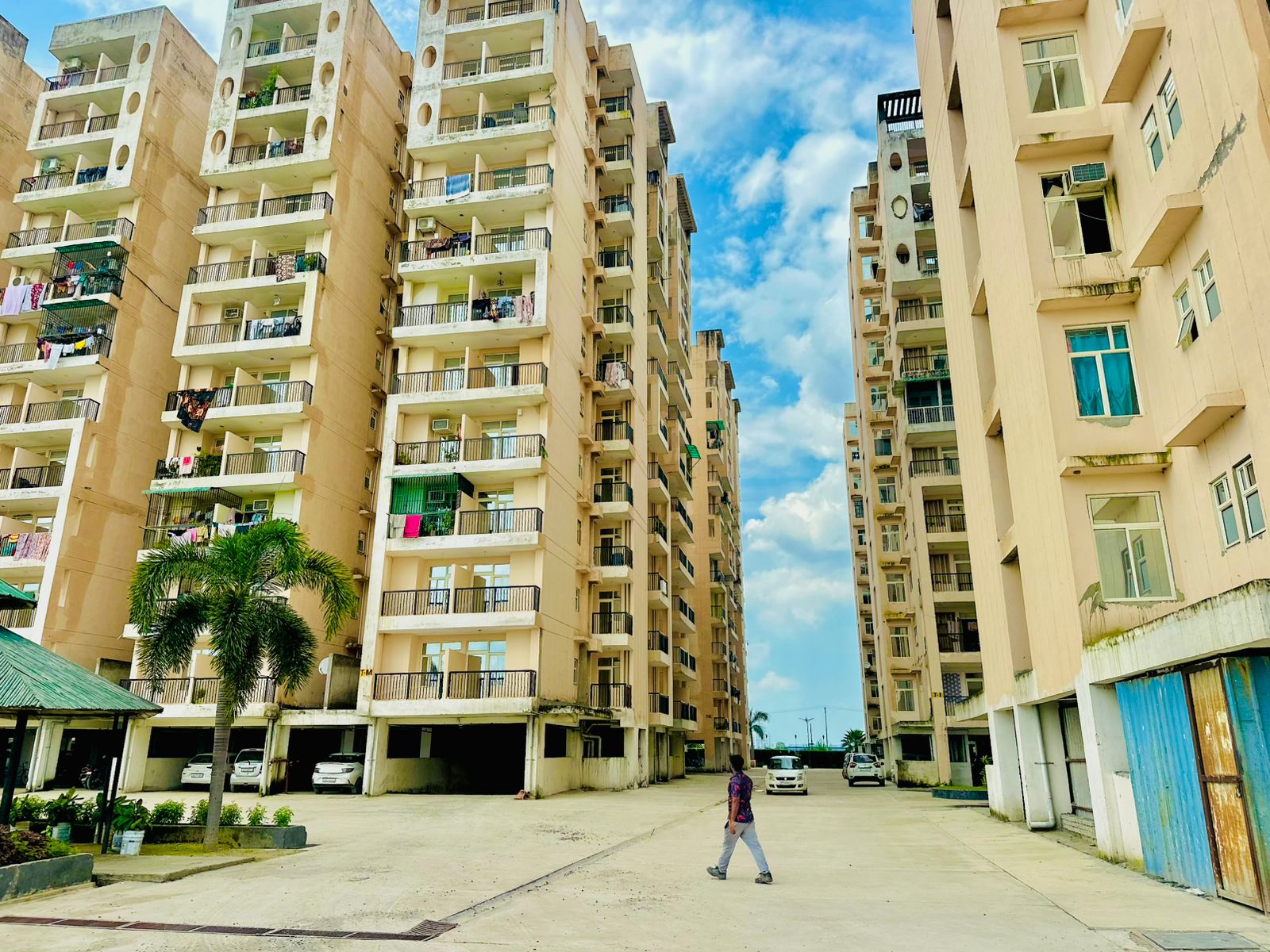 2 BHK Apartment For Rent in Eureka Diya Green City