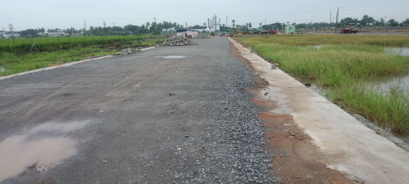 Plot For Sale in Pamarru