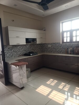 Kitchen in 2 BHK Builder Floor at Sector 79 – for Rent